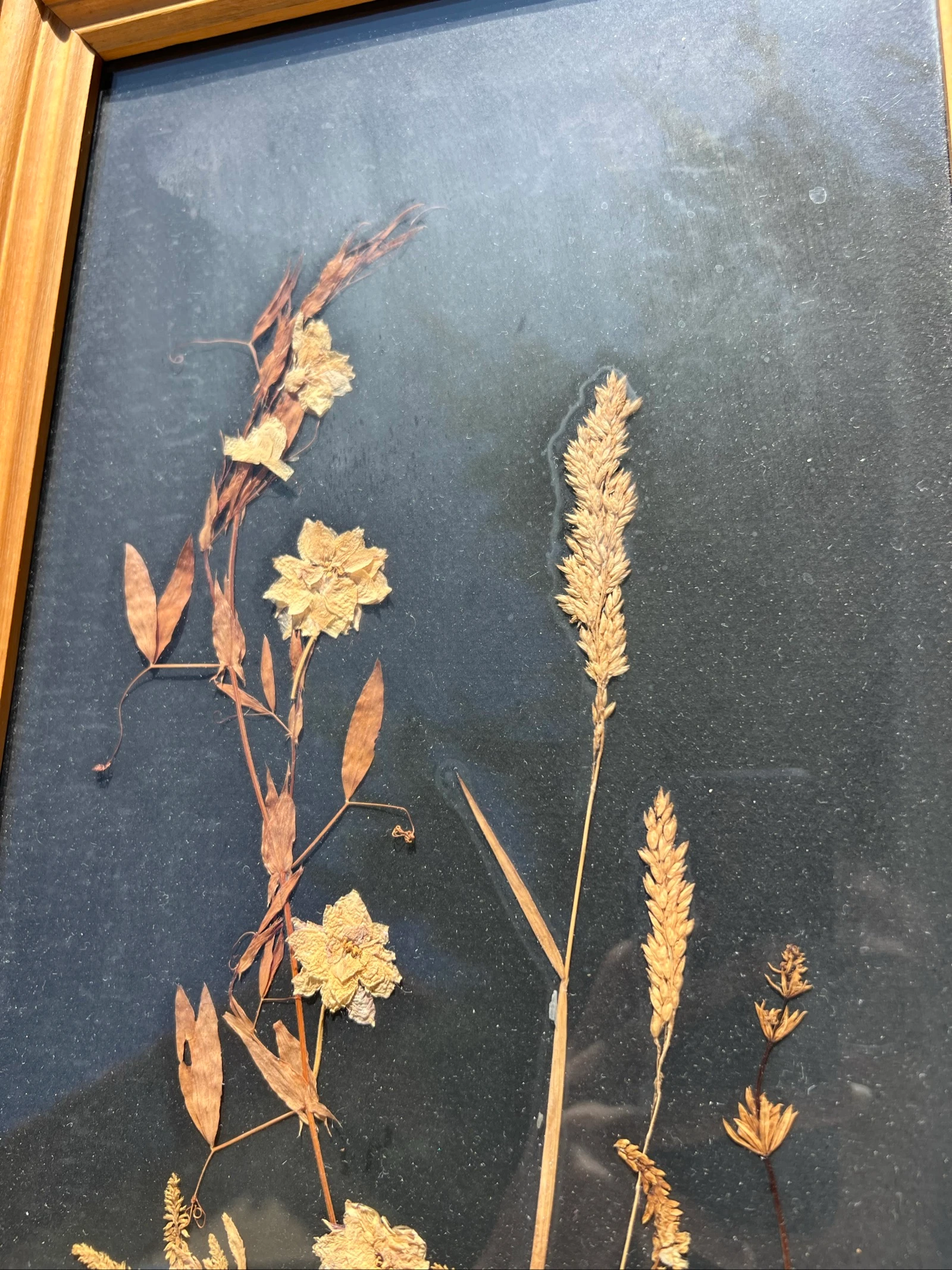 💮 Kadar kruidenboeket gedroogde bloemen Edelweiss vintage hout decoratieve muurkunst natuurlijk 56x26 cm – photo 7